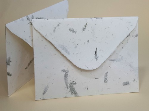 koperty B6_asparagus2.jpg