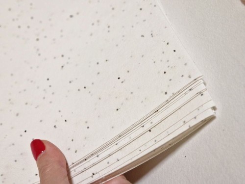 niezapominajka_papier czerpany z nasionami.jpg