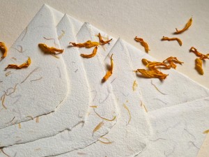 Maxi koperta z papieru czerpanego (na A5)_botaniczna