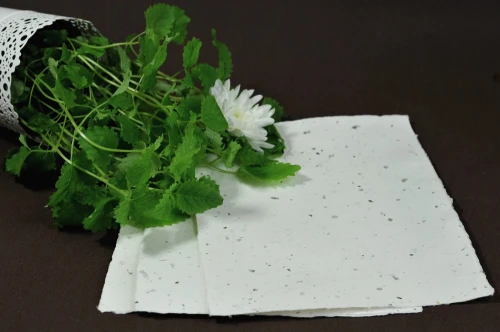 papier czerpany ręcznie z listkami melisy.jpg