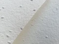 papier czerpany z nasionami facelii.jpg