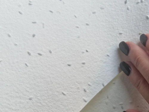 papier z facelią.jpg
