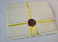 Papeteria DL _papier czerpany ananasowy (jasny żółty).jpg