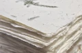 papier czerpany z asparagusem_czerpalnia.jpg