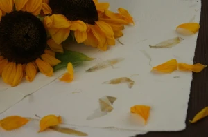 Papier czerpany ze słonecznikiem