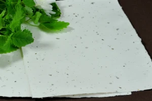 Papier czerpany z melisą
