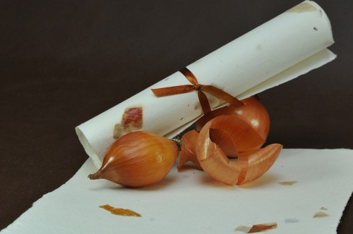 papier czerpany z łuskami cebuli.jpg