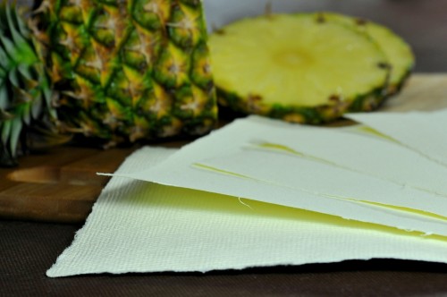papier czerpany ananasowy_czerpalnia.jpg